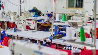 感謝每個(gè)留在成都的人，讓我更愛(ài)這座城 信息技術(shù)咨詢服務(wù)的溫情力量